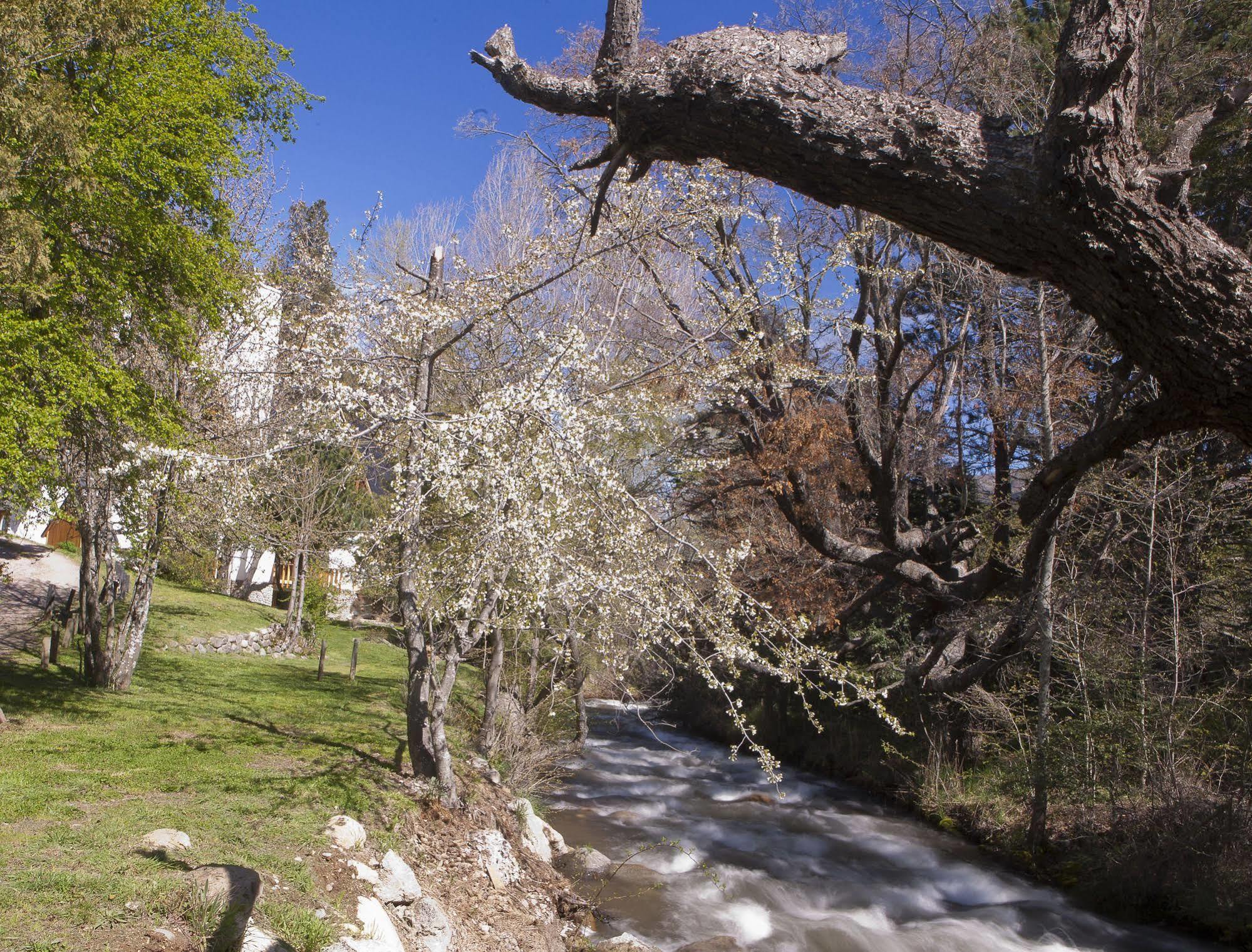 San Martín de los Andes Cabanas Rucaleufu المظهر الخارجي الصورة
