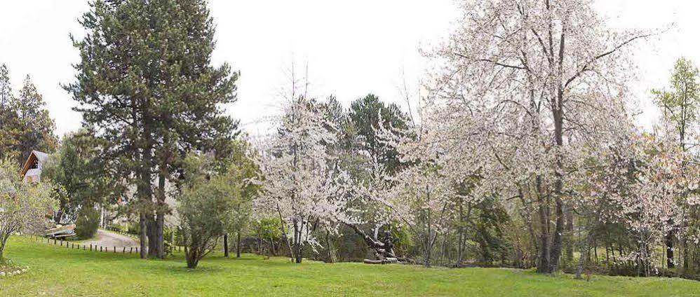 San Martín de los Andes Cabanas Rucaleufu المظهر الخارجي الصورة